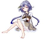  barefoot biwa_lute brown_dress chain dress flower hair_flower hair_ornament instrument long_hair long_sleeves low_twintails lute_(instrument) purple_eyes purple_hair shirt smile solo touhou tsukumo_benben twintails upskirt uranaishi_(miraura) very_long_hair 