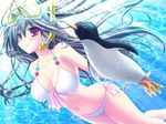  bikini bird black_hair long_hair moribe_(rabumanyo) nanase_ayumu natsu_yume_nagisa penguin purple_eyes solo swimming swimsuit underwater water 