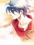  cloud highres male_focus red_eyes satsuki_yuu_(awairo) solo tenkuu_no_escaflowne van_fanel 