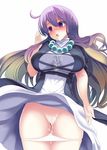  amisu cum cumdrip hijiri_byakuren pussy solo time_stop touhou 