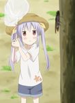  :&lt; brown_eyes bug butterfly_net casual closed_mouth hair_ribbon hand_net hat highres holding long_hair miyauchi_renge non_non_biyori purple_hair ribbon shirt shizupu shorts solo straw_hat sweat t-shirt tree twintails v-shaped_eyebrows 