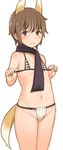  alternate_breast_size animal_ears bikini blush brown_eyes brown_hair cowboy_shot extra_ears flat_chest katou_keiko looking_at_viewer micro_bikini navel scarf short_hair solo striped striped_bikini swimsuit tail taji_(crowview) wavy_mouth world_witches_series 