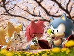  2boys amy_rose blurry bug butterfly camera cherry_blossoms closed_eyes covering_mouth depth_of_field flower furry gloves insect laughing multiple_boys open_mouth picnic rasein shoes sitting sonic sonic_the_hedgehog tails_(sonic) tree white_gloves 