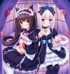  :3 animal_ears bangs bell bell_choker black_hair blue_eyes blue_flower blue_rose blunt_bangs blush bottle bow brown_eyes cat_ears cat_tail chocola_(sayori) choker cup dress drinking_glass flower frilled_dress frills glass gothic_lolita hair_bow highres lolita_fashion long_hair multiple_girls nekopara non-web_source pantyhose pink_hair rose sayori slit_pupils tail twintails vanilla_(sayori) wine_bottle wine_glass 