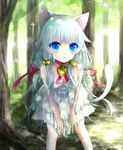  ahoge animal_ears bell bell_collar bent_over blue_eyes cat_ears cat_tail collar dress hair_ornament highres kuroki_mashiro long_hair looking_at_viewer original parted_lips runa_(kuroki_mashiro) silver_hair solo tail tree white_dress 