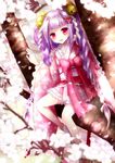  :d bell braid hair_ornament hair_ribbon highres japanese_clothes kimono kuroki_mashiro lolita_fashion long_hair looking_at_viewer open_mouth original petals purple_hair red_eyes ribbon short_kimono sitting smile solo torii tree tree_branch twin_braids twintails wa_lolita 