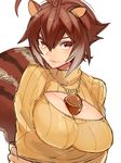  acorn animal_ears between_breasts blazblue breast_hold breasts brown_eyes brown_hair cleavage cleavage_cutout large_breasts makoto_nanaya meme_attire multicolored_hair open-chest_sweater orange_shirt seductive_smile shirt smile solo squirrel_ears squirrel_tail sweater tail tomo_(tomorag7) two-tone_hair 