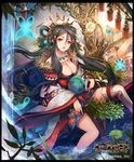  black_border black_hair border breasts bug butterfly cleavage earrings fur_trim hair_ornament hair_rings hairclip insect jewelry large_breasts long_hair mirror necklace red_eyes shingeki_no_bahamut single_thighhigh soaking_feet solo teddy_(khanshin) thighhighs water waterfall 