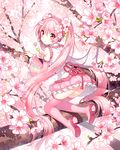  absurdly_long_hair blush boots cherry_blossoms dango detached_sleeves flower food from_behind full_body hair_flower hair_ornament hatsune_miku kneeling long_hair looking_back nardack pink pink_eyes pink_footwear pink_hair pink_legwear sakura_miku skirt solo thigh_boots thighhighs tree twintails very_long_hair vocaloid wagashi 