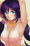  armpits arms_up bikini blush breasts cleavage green_eyes large_breasts long_hair looking_at_viewer love_live! love_live!_school_idol_project purple_hair shuizhanglang smile solo swimsuit toujou_nozomi twintails 