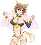  animal_ears arabian_clothes armlet blush body_blush bracer breasts bridal_veil brown_eyes brown_hair cleavage covered_nipples earrings fox_ears fox_tail hairband jewelry katou_keiko kunashiri_(etorofu) large_breasts navel open_mouth pubic_hair revealing_clothes short_hair simple_background solo sweat tail toned veil white_background world_witches_series 