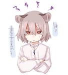  akagashi_hagane anger_vein animal_ears blouse casual crossed_arms grey_hair jewelry long_sleeves looking_at_viewer lowres mouse_ears nazrin necklace open_mouth pendant red_eyes shaded_face short_hair simple_background solo touhou translated white_background 