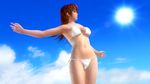  1girl 3d bikini breasts dead_or_alive dead_or_alive_5 large_breasts official_art phase-4 solo sun swimsuit tecmo wallpaper 