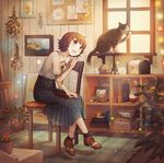  analog_clock bad_id bad_pixiv_id blurry book brown_hair cat chair clock crescent depth_of_field flower_pot full_body green_eyes herb_bundle highres indoors licking megumu original oxfords plant pleated_skirt potted_plant shoes short_hair short_sleeves sitting skirt smile socks solo star window 