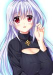  blush breasts cleavage cleavage_cutout endori jewelry large_breasts long_hair lyrical_nanoha md5_mismatch meme_attire necklace open-chest_sweater red_eyes reinforce ribbed_sweater silver_hair single_hair_intake solo sweater turtleneck upper_body 