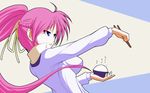  blue_eyes highres long_hair lyrical_nanoha mahou_shoujo_lyrical_nanoha mahou_shoujo_lyrical_nanoha_a's pink_hair ponytail signum solo tappa_(esperanza) 