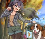  :o animal antenna_hair autumn_leaves black_hair brown_legwear collarbone commentary_request cross-laced_footwear day dog earrings fang ganaha_hibiki hair_ribbon hamster hamuzou highres hina_(araburu-hinadori) hoop_earrings idolmaster idolmaster_(classic) inumi jewelry leaf legwear_under_shorts long_hair official_style open_clothes open_shirt outdoors outstretched_arm pantyhose pink_footwear plaid plaid_shirt ponytail ribbon running shirt shoes shorts sky sneakers socks_over_pantyhose solo st_bernard sunlight tree unbuttoned 