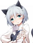  animal_ears bad_id bad_pixiv_id blush green_eyes grey_hair kinakomoti necktie sanya_v_litvyak sexually_suggestive short_hair simple_background solo strike_witches tail white_background world_witches_series 