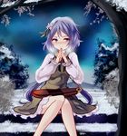  aurora biwa_lute breath bush dress flower hair_flower hair_ornament instrument knees_together_feet_apart light_smile long_sleeves looking_at_viewer lute_(instrument) night night_sky outdoors purple_eyes purple_hair short_hair sitting sky snow solo touhou tree tsukumo_benben twintails uranaishi_(miraura) 