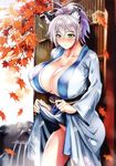  absurdres animal_ears autumn_leaves blush breasts cleavage collarbone copyright_request covered_nipples dress dress_lift fuetakishi green_eyes highres huge_breasts japanese_clothes kimono no_panties obi onsen ponytail sash silver_hair standing thighs tiger_ears 