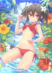  bikini black_hair breasts cowboy_shot cutie_panther flower hajime_kaname hibiscus highres looking_at_viewer love_live! love_live!_school_idol_project petals red_bikini red_eyes side-tie_bikini small_breasts smile solo swimsuit twintails wading water yazawa_nico 