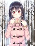  :c black_hair blush forest highres igakusei jacket long_sleeves nature original red_eyes snow solo winter_clothes 