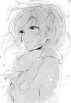  ayase_eli blush coat greyscale karuha long_hair love_live! love_live!_school_idol_project messy_hair monochrome ponytail scarf scrunchie smile snowing solo upper_body wind 
