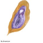  clitoris greenlion invalid_color invalid_tag purple_pussy pussy urethra 