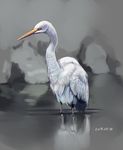  crane_(animal) dated no_humans original solo tsuda_nanafushi wading 