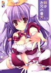  animal_ears between_legs blush breasts bunny_ears cleavage cover cover_page covered_nipples detached_collar dog_ears dog_tail doujin_cover dress hand_between_legs highres looking_at_viewer medium_breasts nanaroba_hana outstretched_hand palms pink_eyes purple_hair smile solo tail thighhighs white_legwear zettai_ryouiki 