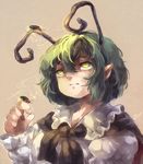  antennae bug cape firefly green_eyes green_hair insect koto_inari pointy_ears short_hair solo touhou wriggle_nightbug 