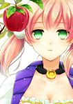  apple atelier_(series) atelier_escha_&amp;_logy bad_id bad_pixiv_id choker escha_malier food fruit green_eyes leaf nagonmaou pink_hair short_hair short_twintails smile solo twintails upper_body white_background 