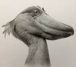  chons-48 graphite_(medium) highres monochrome no_humans original shoebill solo traditional_media upper_body 