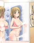  bad_id bad_twitter_id brown_eyes brown_hair convenient_censoring covering covering_one_breast from_side hand_on_own_stomach idolmaster idolmaster_cinderella_girls jpeg_artifacts mimura_kanako mirror navel nude poponpin reflection solo wet wet_hair 