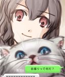  blurry brown_eyes brown_hair cat depth_of_field face inazuma_eleven_(series) inazuma_eleven_go looking_at_viewer male_focus shindou_takuto shino_(syllable) smile solo translation_request 