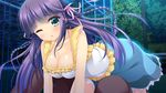  1girl all_fours blue_eyes blush braid breasts cleavage game_cg highres huge_breasts legs long_hair looking_at_viewer lying night oono_tetsuya playground prism_princess_~futari_no_himekishi_to_kokan_no_monshou~ purple_hair skirt thighs wince 