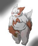  2010 anthro balls belly blush cum cute_fangs male mammal masturbation navel nintendo overweight overweight_male penis pok&eacute;mon pok&eacute;mon_(species) rodemaru simple_background solo sweat tongue tongue_out video_games zangoose 