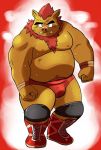  2017 anthro belly boar brown_fur bulge clothing fur humanoid_hands male mammal moobs nipples overweight overweight_male porcine shiba-kenta simple_background solo underwear 