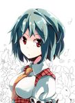  aioi_aoi ascot bad_id bad_pixiv_id flower green_hair kazami_yuuka plaid plaid_vest red_eyes short_hair solo touhou vest 