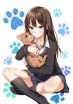  animal black_legwear blush brown_hair cardigan dog earrings green_eyes hanako_(idolmaster) heirou idolmaster idolmaster_cinderella_girls indian_style jewelry kneehighs long_hair looking_at_viewer necklace necktie school_uniform shibuya_rin sitting skirt smile solo yorkshire_terrier 