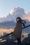  bad_id bad_pixiv_id brown_eyes brown_hair building city cloud coat hands_in_pockets hanno highres light_smile long_hair original power_lines profile railing scarf sky solo sunset wind 