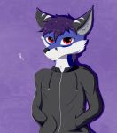  canid canine clothing fox hoodie male mammal ollofkyser solo 