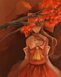  ajino_motoko ascot autumn_leaves bad_id bad_pixiv_id bow brown_eyes brown_hair cloud cloudy_sky commentary_request detached_sleeves expressionless hair_bow hair_tubes hakurei_reimu highres long_hair looking_at_viewer orange_sky red_skirt serious skirt sky solo touhou tree_branch wind 