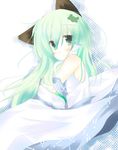  animal_ears blush cat_ears green_eyes green_hair kemonomimi_mode kochiya_sanae kurata_yumi long_hair solo touhou 