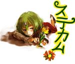  bad_id bad_pixiv_id blush flower frown kazami_yuuka lying on_stomach plaid plaid_skirt simple_background skirt solo stickam touhou white_background yae_(mono110) 