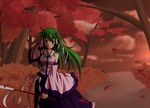  blush deta-mxproject detached_sleeves green_eyes green_hair kochiya_sanae leaf long_hair nature smile snake solo sunset touhou tree wind 