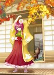  arms_up cat full_body hieda_no_akyuu japanese_clothes kimono nanami_sano one_eye_closed purple_hair scroll socks solo stretch touhou 