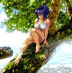  aqua_eyes bikini day frilled_bikini frills in_tree leona_heidern long_hair lowres sakura_mafumi sitting sitting_in_tree solo swimsuit the_king_of_fighters tree 