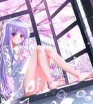  absolute_duo ahoge alternate_hair_color barefoot breasts cherry_blossoms cleavage collarbone cup dress_shirt dutch_angle fish highres holding legs long_hair long_legs long_sleeves mug naked_shirt open_window petals pink_eyes purple_hair shirt sitting small_breasts smile solo swordsouls transparent very_long_hair window yurie_sigtuna 