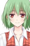  bad_id bad_pixiv_id collarbone dress_shirt face green_hair kazami_yuuka red_eyes shirt short_hair simple_background smile solo touhou upper_body vest wendell white_background white_shirt 